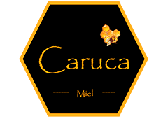 Logo de Carucamiel
